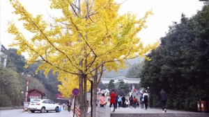 每逢冬日，總有情懷暖人心